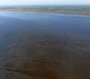 Wattenmeer zwischen Wangerooge und dem Wangerland. Foto: Helmut Burlager