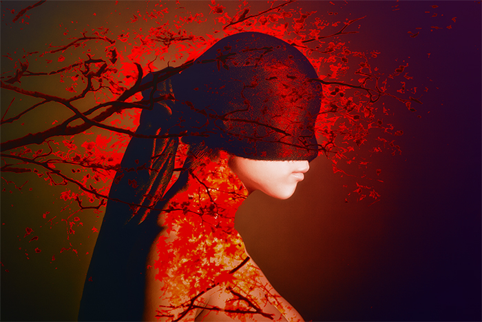 Tree of Life. Foto/Grafik: Tim Keweritsch